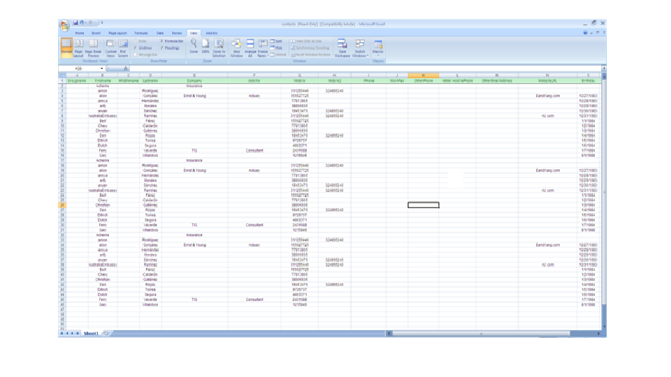 Resulitng Excel Sheet